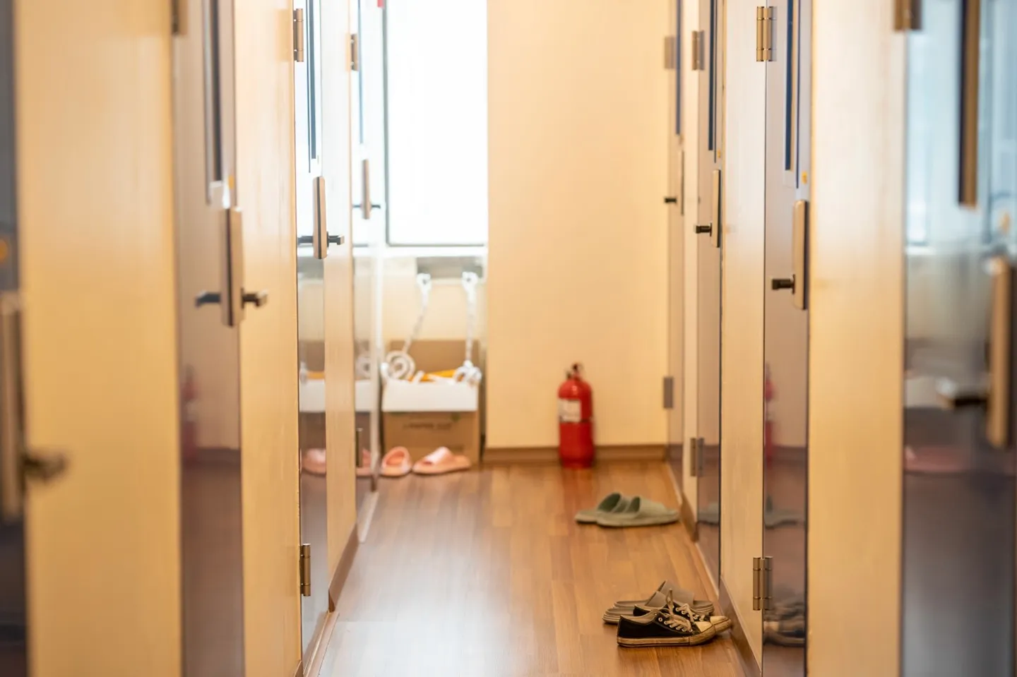 베이스 코드·하모닉스 솔로 베이스 — 완전 가이드